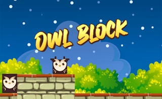 Image Owl Block